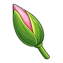 Frog Lily hover pointer: water lily bud pointing up-left
